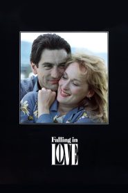 فيلم Falling in Love 1984 مترجم