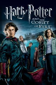 فيلم Harry Potter and the Goblet of Fire 2005 مترجم