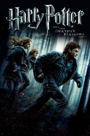 فيلم Harry Potter and the Deathly Hallows: Part 1 2010 مترجم