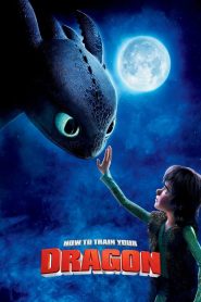 فيلم How to Train Your Dragon 2010