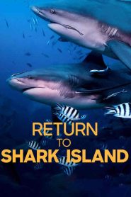 مشاهدة فيلم Return to Shark Island 2019 مترجم