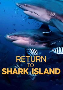 مشاهدة فيلم Return to Shark Island 2019 مترجم