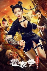 مشاهدة فيلم The Queen of KungFu3 2022 مترجم