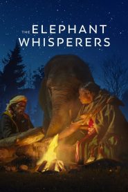 مشاهدة فيلم The Elephant Whisperers 2022 مترجم