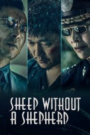 مشاهدة فيلم Sheep Without a Shepherd 2019 مترجم