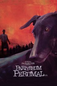 مشاهدة فيلم Pariyerum Perumal 2018 مترجم