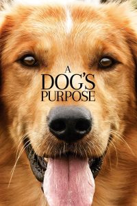 مشاهدة فيلم A Dog’s Purpose 2017 مترجم