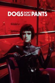 مشاهدة فيلم Dogs Don’t Wear Pants 2019 مترجم