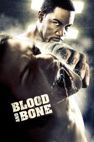 مشاهدة فيلم Blood and Bone 2009 مترجم