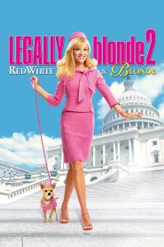 فيلم Legally Blonde 2: Red, White & Blonde 2003 مترجم