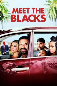 مشاهدة فيلم Meet the Blacks 2016 مترجم