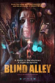 مشاهدة فيلم Blind Alley 2011 مترجم