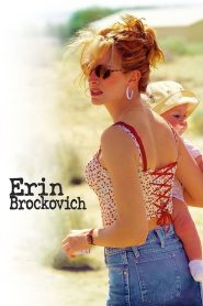 مشاهدة فيلم Erin Brockovich 2000 مترجم