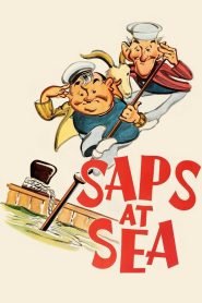 مشاهدة فيلم Saps at Sea 1940 مترجم