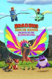 Dragons: Rescue Riders: Secrets of the Songwing 2020 مدبلج