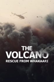 فيلم The Volcano: Rescue from Whakaari 2022 مترجم