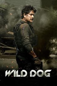 مشاهدة فيلم Wild Dog 2021 مترجم