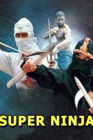 مشاهدة فيلم The Super Ninja 1984 مترجم