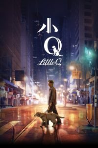 مشاهدة فيلم Little Q 2019 مترجم