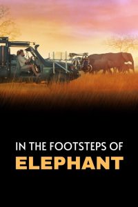 In the Footsteps of Elephant 2020 مترجم