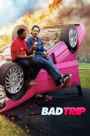 مشاهدة فيلم Bad Trip 2020 مترجم