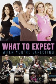 فيلم What To Expect When Youre Expecting 2012 مترجم