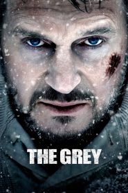 مشاهدة فيلم The Grey 2011 مترجم