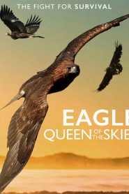 مشاهدة فيلم Eagle – Queen of The Skies 2020 مترجم