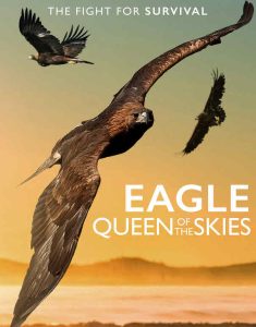 مشاهدة فيلم Eagle – Queen of The Skies 2020 مترجم