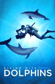 مشاهدة فيلم Diving with Dolphins 2020 مترجم