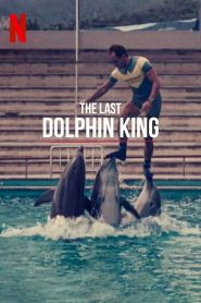 مشاهدة فيلم The Last Dolphin King 2022 مترجم