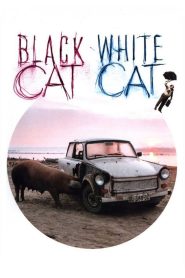 مشاهدة فيلم Black Cat, White Cat 1998 مترجم