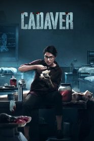 مشاهدة فيلم Cadaver 2022 مترجم