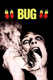 مشاهدة فيلم Bug 1975 مترجم