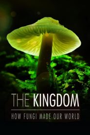 The Kingdom: How Fungi Made Our World 2018 مترجم