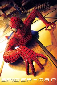 مشاهدة فيلم Spider Man 1 2002 مترجم