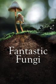 مشاهدة فيلم Fantastic Fungi 2019 مترجم