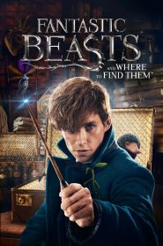 فيلم Fantastic Beasts and Where to Find Them 2016 مترجم