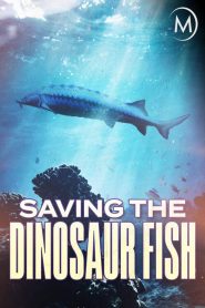 مشاهدة فيلم Saving the Dinosaur Fish 2020 مترجم