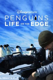 مشاهدة فيلم Penguins: Life on the Edge 2020 مترجم