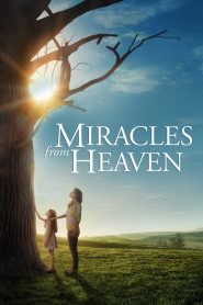 مشاهدة فيلم Miracles from Heaven 2016 مترجم