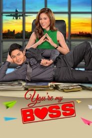 مشاهدة فيلم You’re My Boss 2015 مترجم