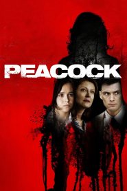 مشاهدة فيلم Peacock 2010 مترجم