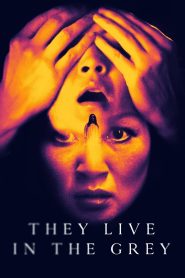 مشاهدة فيلم They Live in the Grey 2022 مترجم