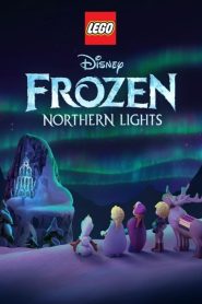 فيلم Lego Frozen Northern Lights 2016 مترجم