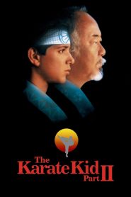 مشاهدة فيلم The Karate Kid 2 1986 مترجم