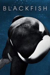 مشاهدة فيلم Blackfish 2013 مترجم