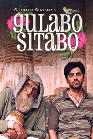 مشاهدة فيلم Gulabo Sitabo 2020 مترجم