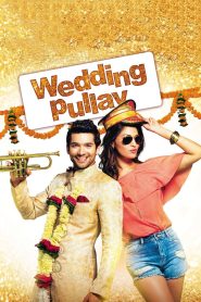 مشاهدة فيلم Wedding Pullav 2015 مدبلج