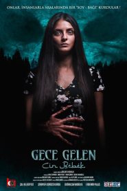 مشاهدة فيلم Gece Gelen Cin Bebek 2020 مترجم